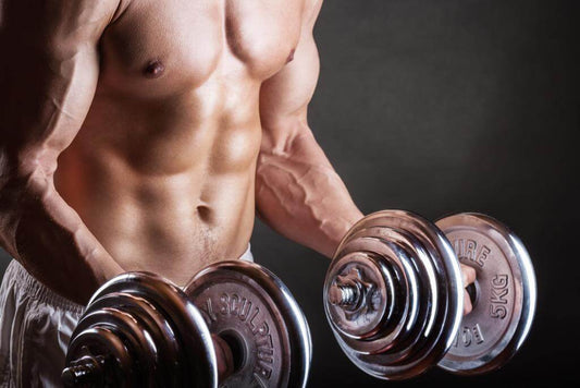 Comprehensive Benefits of Weight Training for All Ages and Genders