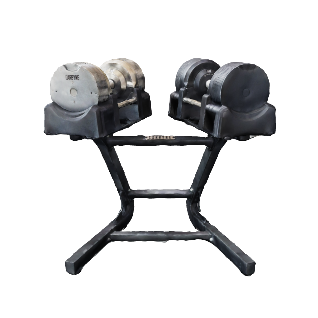CARBYNE Dumbbell 3rd model black / Stand