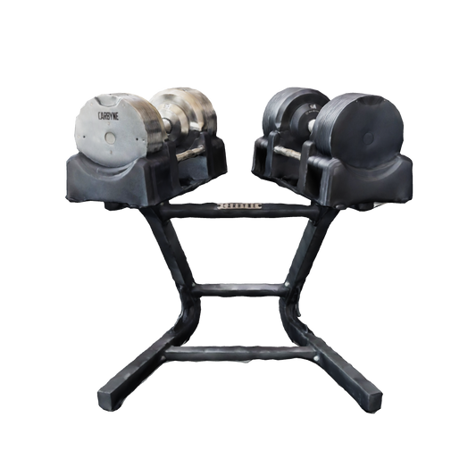 CARBYNE Dumbbell 3rd model black / Stand